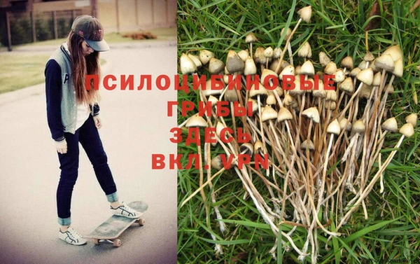 дмт Магас