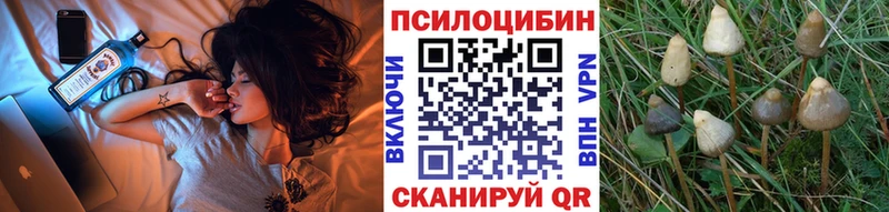 Псилоцибиновые грибы Magic Shrooms  Цивильск 